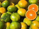 🍊極早生温州みかん🍊