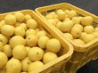 画像2: 【期間限定送料込み】ニューサマーオレンジ5ｋｇ箱 (2)