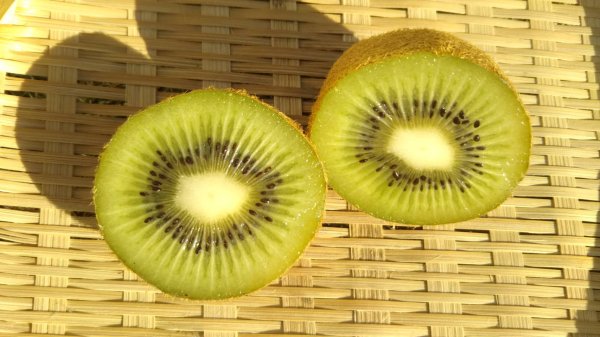 画像2: 【送料込み】キウイフルーツセット2kg入り（20玉前後） (2)