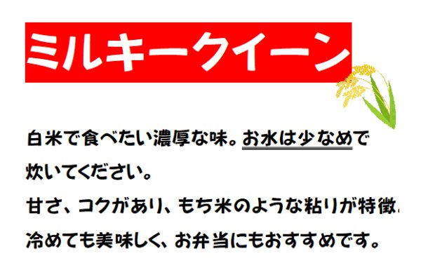 画像2: 南伊豆米店新米ミルキークイーン2ｋｇ(玄米) 送料込 (2)