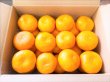 画像1: 【期間限定、送料込み】ハウスみかん2kg（25玉前後） (1)