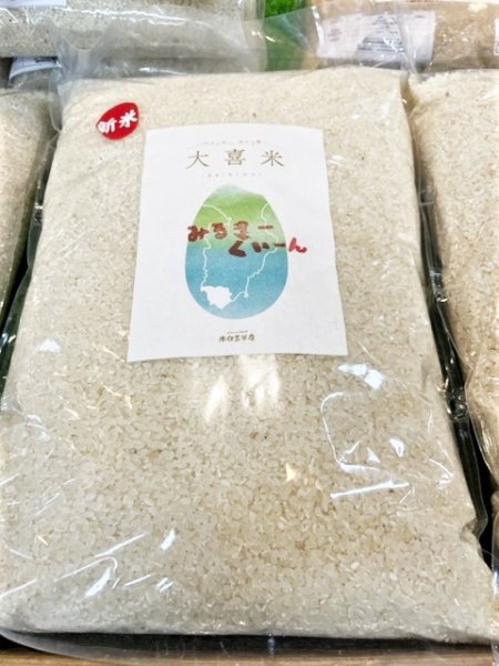 画像1: 南伊豆米店新米ミルキークィーン（白米）10kg　送料込 (1)