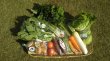 画像4: （送料込み）野菜BOX　Aコース (4)