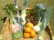 画像3: （送料込み）野菜BOXプラス果物 (3)
