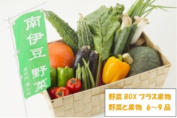 画像1: （送料込み）野菜BOXプラス果物 (1)
