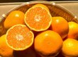 画像2: 【期間限定・送料込】季節の温州みかん10kg箱 (2)
