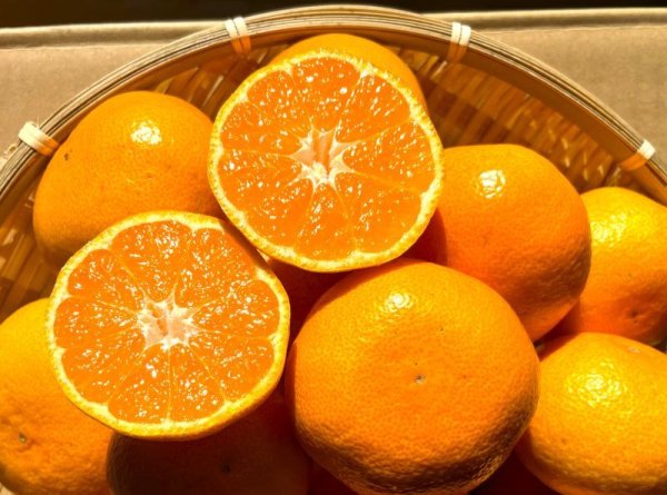 画像2: 【期間限定・送料込】季節の温州みかん10kg箱 (2)