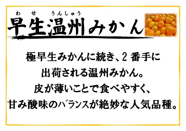 画像3: 【期間限定・送料込】季節の温州みかん10kg箱 (3)