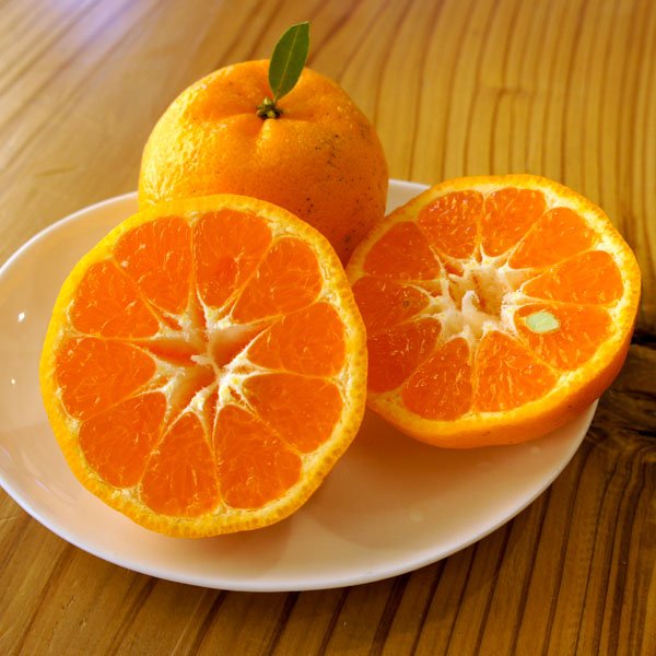 画像4: 【お歳暮】ポンカン5kg箱　4,600円(送料、税込) (4)