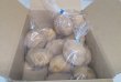画像3: 【今が旬】ジャガイモ（きたあかり） 1.5kg (送料込み) (3)