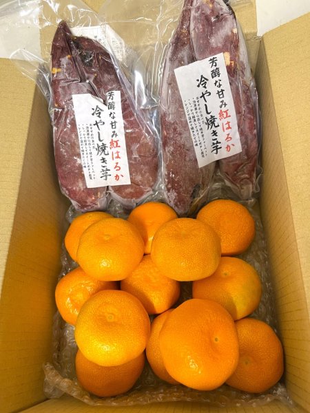 画像1: 【期間限定、送料込み】ハウスみかん1kg（12玉前後）と冷やし焼き芋（2本入り×2パック）セット (1)