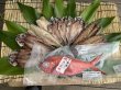 画像1: 【お歳暮】地金目鯛と干物4種セット　5,800円(送料、税込) (1)