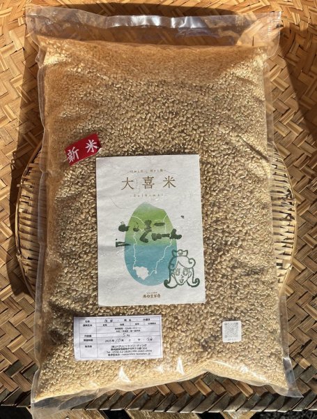画像1: 南伊豆米店新米ミルキークィーン（玄米）5kg　送料込 (1)